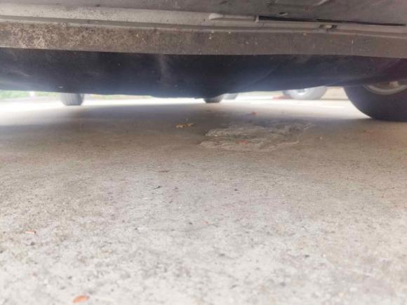 [南京·苏A] 二手福特福睿斯2015款 1.5L 手动舒适型