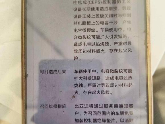 [上海·沪A] 二手比亚迪海豚2023款 420km 自由版