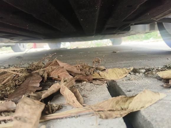 [深圳·粤B] 二手零跑汽车零跑B012025款 550悦享版