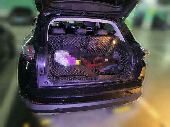 [武汉·鄂A] 二手哪吒汽车哪吒U2021款 Pro 500 环球版