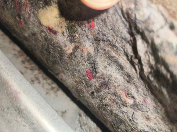 [成都·川A] 二手大众朗逸2008款 1.6L 自动品轩版