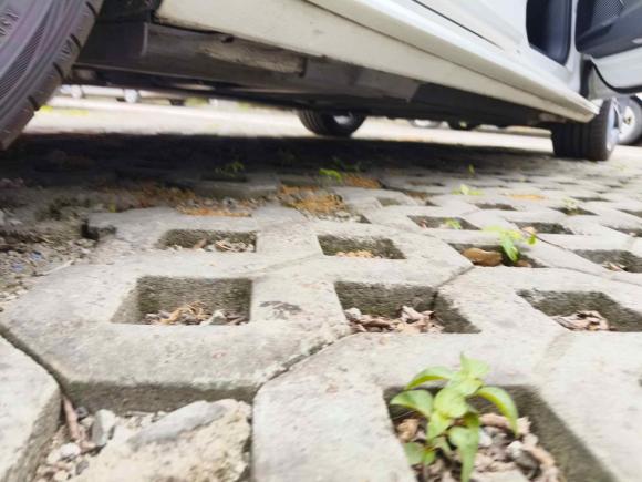 [上海·沪D] 二手奥迪奥迪A4L2019款 40 TFSI 运动型 国VI