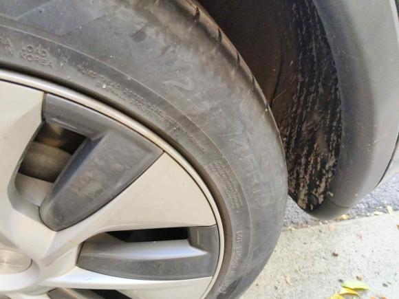 [上海·沪A] 二手特斯拉Model Y2022款 后轮驱动版