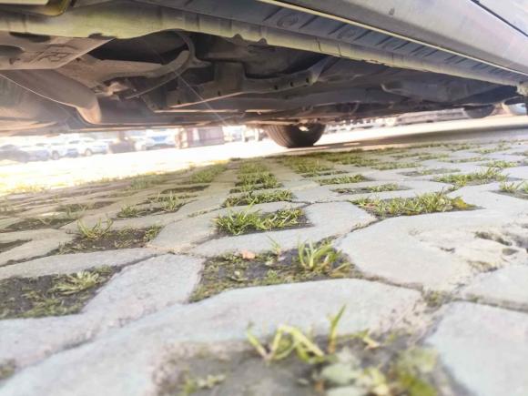 [嘉兴·浙F] 二手丰田雷凌2018款 185T CVT豪华版