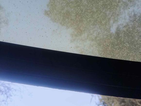 [西安·苏U] 二手吉利汽车星瑞2021款 2.0TD 豪华型