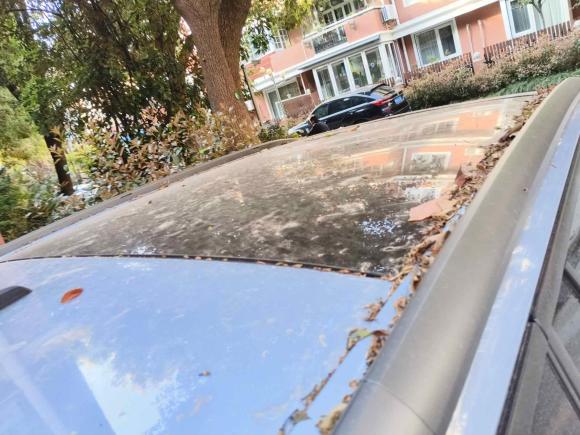 [上海·沪G] 二手雪铁龙C4 PICASSO2015款 Grand 1.6T 豪华型 7座