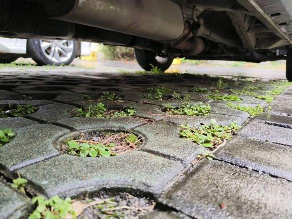 [合肥·皖A] 二手吉利汽车博越2016款 1.8TD 自动智联型