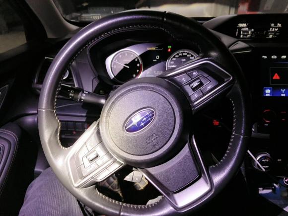 [上海·沪B] 二手斯巴鲁森林人2020款 2.0i 豪华版EyeSight