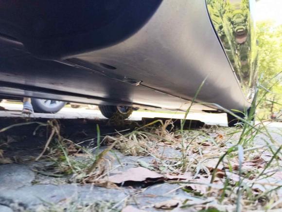 [上海·沪A] 二手特斯拉Model Y2023款 后轮驱动版