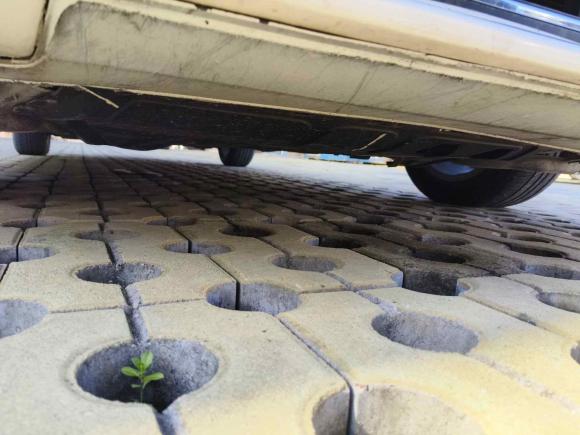 [义乌·浙G] 二手大众速腾2014款 1.6L 自动舒适型