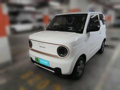 [南昌·赣A] 吉利银河熊猫2023款 熊猫mini 200km 耐力熊