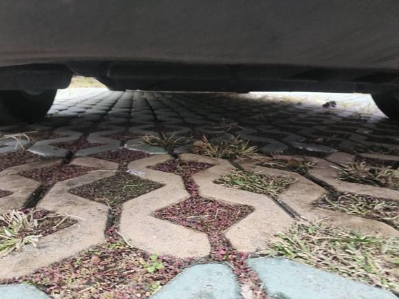 [上海·苏U] 二手大众帕萨特2022款 330TSI 豪华版