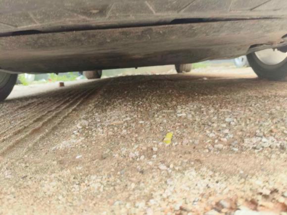 [广州·豫A] 二手大众迈腾2015款 1.8TSI 领先型