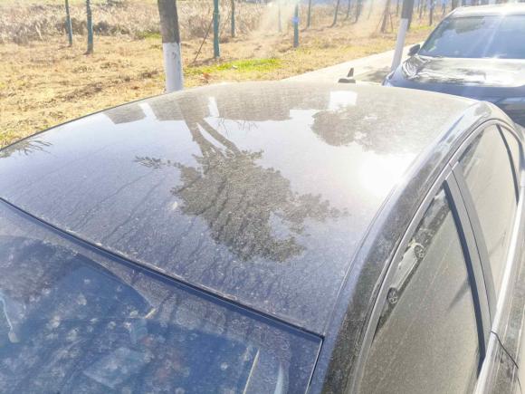 [合肥·皖A] 二手大众朗逸2021款 1.5L 自动风尚版