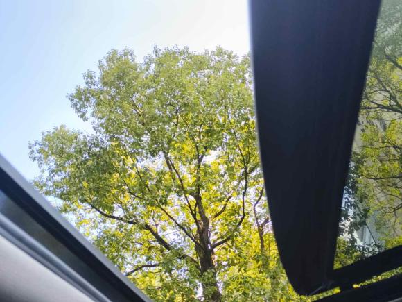 [上海·沪N] 二手宝马宝马X52022款 xDrive40i M运动套装