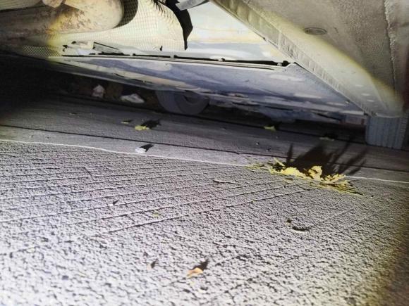 [武汉·鄂A] 二手福特福睿斯2015款 1.5L 自动时尚型