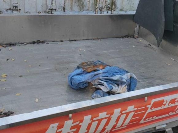 [苏州·皖L] 二手五菱汽车五菱荣光小卡2021款 1.5L基本型双排L3C