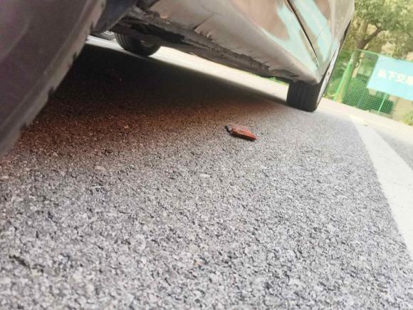 [上海·沪A] 二手大众速腾2014款 1.4TSI 自动豪华型