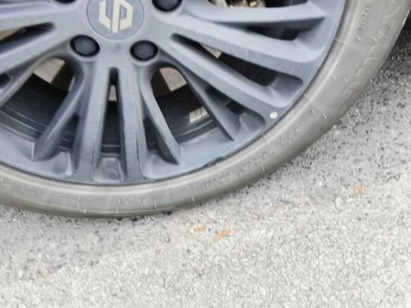 [上海·沪A] 二手零跑汽车零跑C012023款 525舒享版