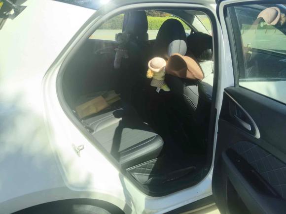 [上海·沪A] 二手欧拉欧拉好猫2021款 400km标准续航 雅典娜版 磷酸铁锂