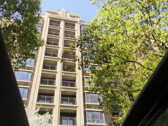 [上海·沪D] 二手丰田凯美瑞2018款 双擎 2.5HG 豪华版