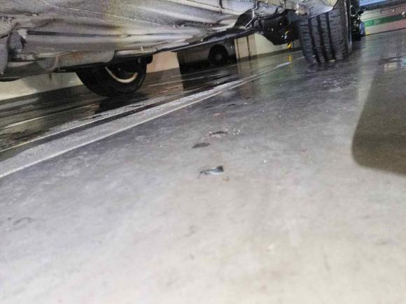 [苏州·苏E] 二手大众朗逸2013款 1.6L 自动舒适版