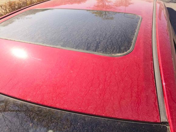 [南昌·赣A] 二手丰田卡罗拉2014款 1.6L CVT GL-i真皮版