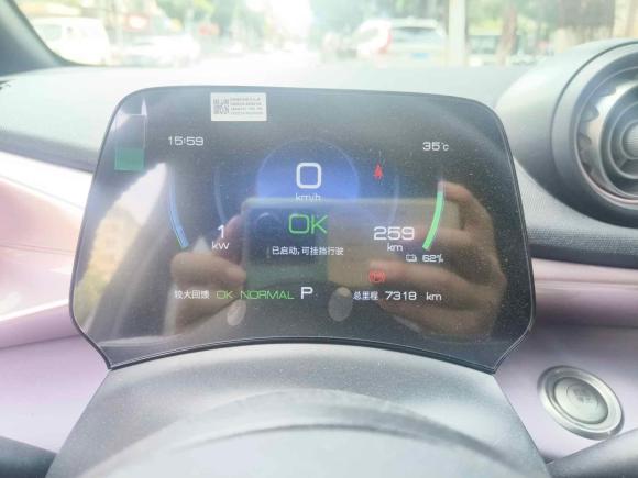 [武汉·鄂A] 二手比亚迪海豚2023款 420km 时尚版