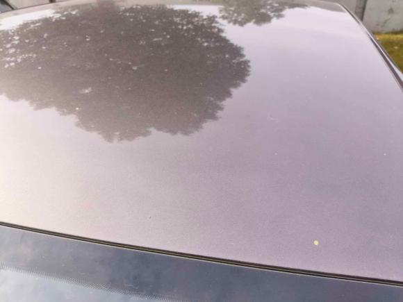 [上海·沪B] 二手大众朗逸2021款 1.5L 自动风尚版