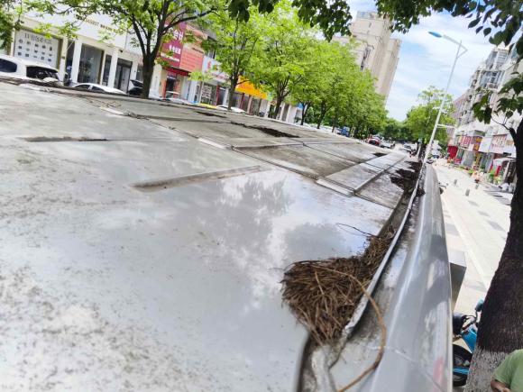 [宁波·浙B] 二手东风御风御风2021款 2.0T动力王前驱物流车长轴中顶6-9座国VI ZD20