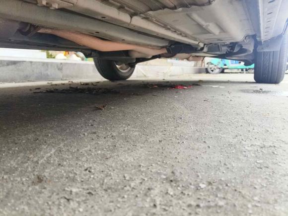 [成都·川M] 二手日产逍客2016款 2.0L CVT精英版