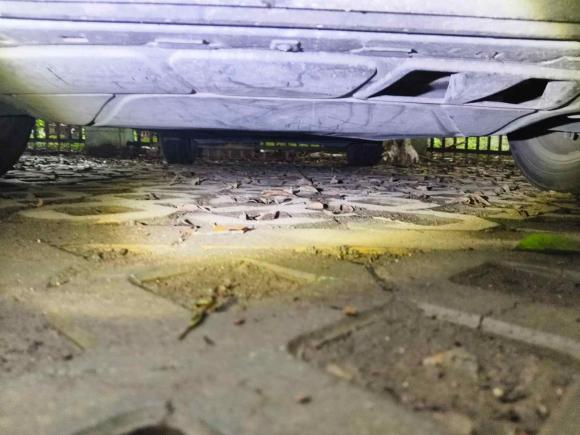 [成都·川A] 二手大众朗逸2019款 1.5L 自动舒适版 国VI