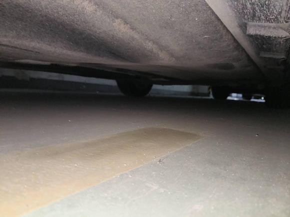 [温州·浙C] 二手大众迈腾2019款 280TSI DSG 舒适型 国V