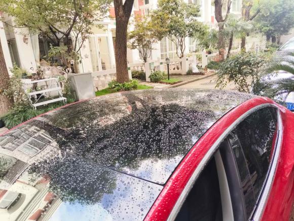 [上海·沪A] 二手特斯拉Model 32020款 改款 长续航后轮驱动版