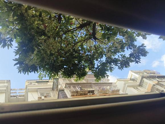 [宁波·浙B] 二手丰田RAV4荣放2015款 2.0L CVT两驱风尚版