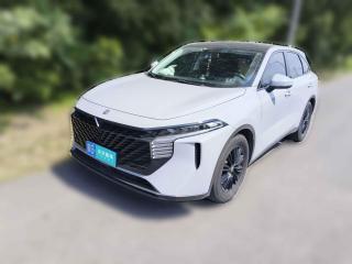 启辰启辰大V2021款 260T 爱豆版