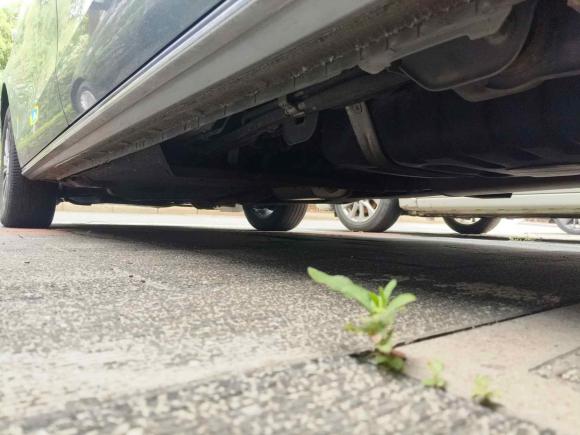 [无锡·苏B] 二手别克别克GL82023款 陆上公务舱 智享型