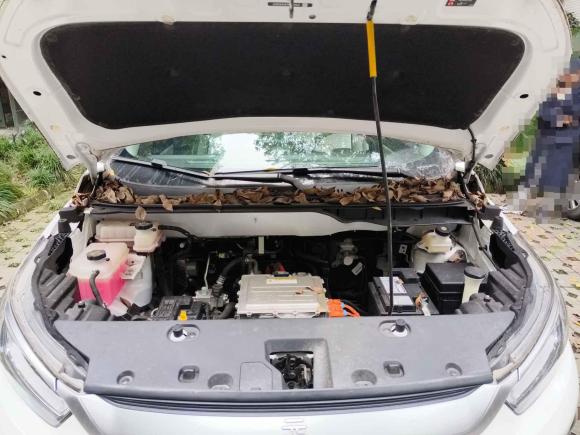 [成都·川A] 二手比亚迪元Pro2021款 401KM 尊贵型