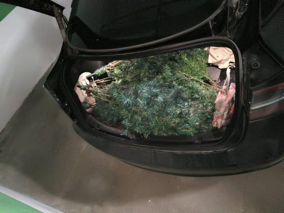 [青岛·鲁B] 二手特斯拉Model 32022款 后轮驱动版