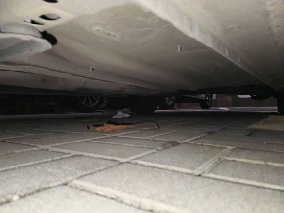 [金华·浙G] 二手福特福睿斯2017款 改款 1.5L 自动舒适型