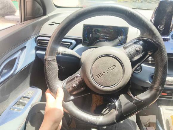 [南通·苏F] 二手比亚迪海鸥2023款 飞翔版