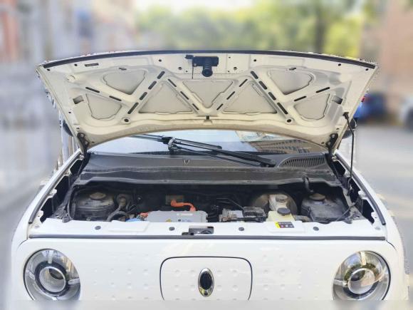 [武汉·鄂A] 二手欧拉欧拉黑猫2019款 351km 灵智版