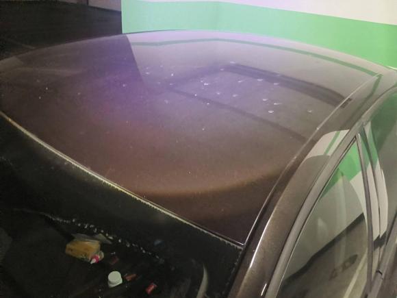 [嘉兴·浙F] 二手斯柯达明锐2015款 1.6L 手动逸致版