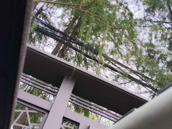 [杭州·晋E] 二手大众朗逸2013款 1.6L 自动舒适版