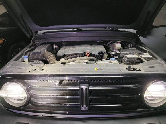 [上海·苏G] 二手坦克坦克3002021款 越野版 2.0T 征服者