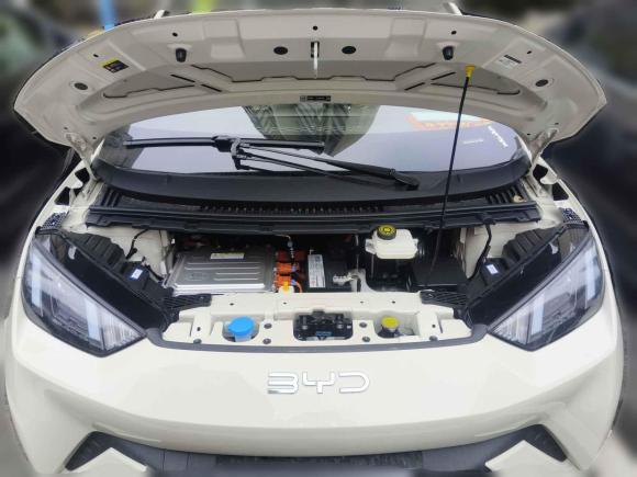 [合肥·皖A] 二手比亚迪海鸥2025款 305km 活力版