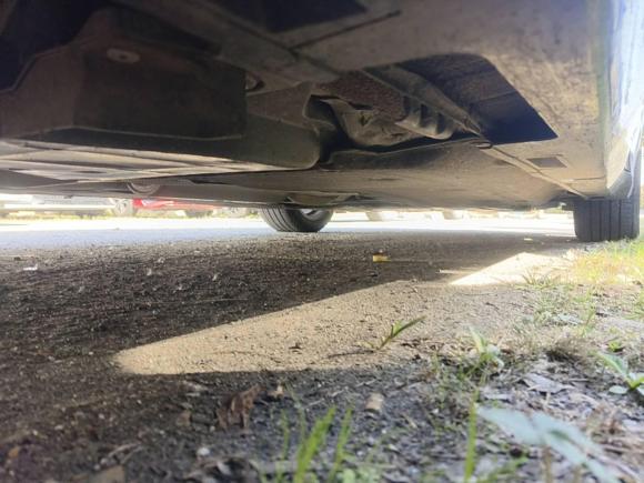 [温州·豫Q] 二手本田雅阁2022款 260TURBO 豪华版