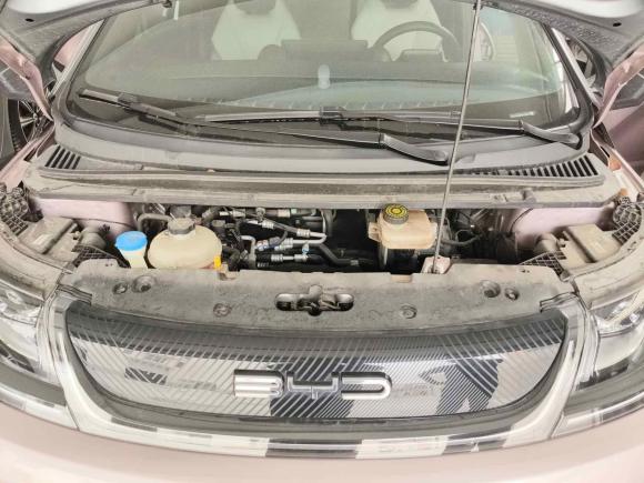 [常州·苏D] 二手比亚迪海豚2021款 401km 骑士版