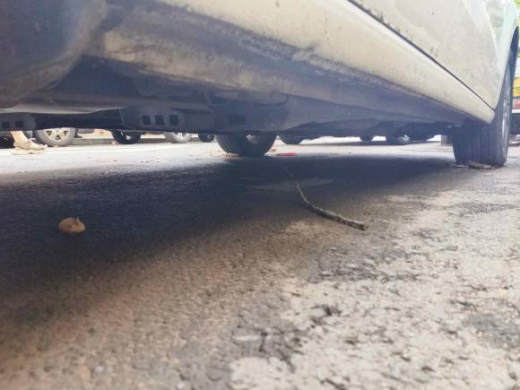 [青岛·鲁B] 二手大众Polo2013款 1.6L 自动舒适版