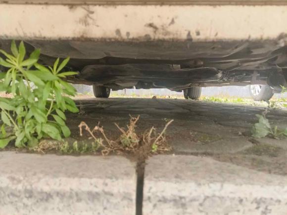 [青岛·鲁B] 二手奔驰唯雅诺2010款 2.5L 豪华版